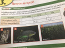 Kerlek segitsetek akar csak egy fel feladatban is – megoldás kép 1