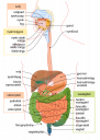 SOSS biologia – megoldás kép 1