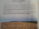 Juhasz gyula – megoldás kép 1