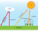 Földrajz  – megoldás kép 1