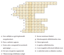 Fizika 8. Osztályos  – megoldás kép 1