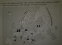 Földrajz – megoldás kép 1
