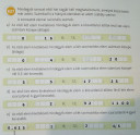 Kép, matek, sorozat, pls – megoldás kép 1