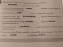 Nyolcadikos biológia hf – megoldás kép 1
