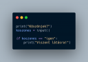 Python feltételes elágazodás – megoldás kép 1