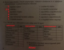Léci segíts keddig – megoldás kép 1