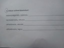 Nyelvtan,8.osztály – feladat kép 1