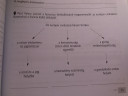 Tori munkafuzet megoldás kene  – feladat kép 3