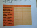 Megoldaná nekem valaki ezt a táblázatot?  – feladat kép 1