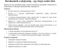 Számvitel projekt – feladat kép 1