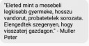 Ezzel a címmel kell fogalmazást írnom: – feladat kép 1