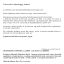 Mikszáth Kálmán: Szücs Pali szerencséje, műértelmezés !SOS! – feladat kép 1