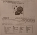 Sport in Great Britain , megadott szavakat a mondatba behelyetesíteni. csatolva, köszönöm – feladat kép 1