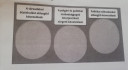 Mit kíván a magyar nemzet.  – feladat kép 1