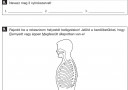 S.o.s biologia – feladat kép 1