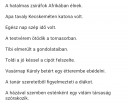 Momdatelemzés – feladat kép 1