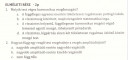 Nagyon rövid megválaszolni, 2 emléleti kérdés a rezgésekből – feladat kép 1