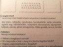 Hangtörvények és tőtípusok – feladat kép 2