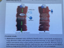 Biokémia, alkoholok és enzimek – feladat kép 1