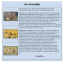 Infó weblap – feladat kép 2