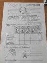 Biosz – feladat kép 1