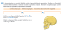 Biológia 8.osztály – feladat kép 1
