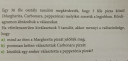 Help – feladat kép 1
