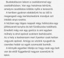 Angol házi – feladat kép 1