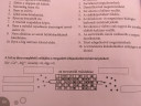 Kérlek segítsetek a kémia hàziba 8. Osztály – feladat kép 1