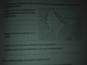 SOS Foci lecó.. – feladat kép 1