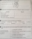 Valaki tudna segíteni?B – feladat kép 1