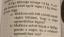 Segitsen valaki kerem – feladat kép 1