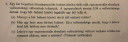 Valószínűségszámítás – feladat kép 1