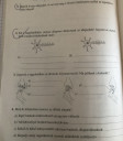 Ehjjj!!! Tudnátok segíteni megoldani ezt az oldalt ? – feladat kép 1
