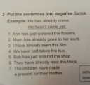 PUT THE SENTENCES INTO  NEGATIVE FORMS, csatolva. Köszönöm!! – feladat kép 1