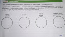BIOLÓGIA SEGÍTSÉG MEGOLDÁSOK!!.  – feladat kép 2