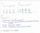 Gimnasztika  – feladat kép 1