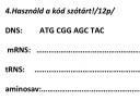 Kódszótár.  – feladat kép 2
