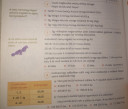 Csatoltam a kepet – feladat kép 1