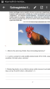 Szövegértést fejlesztő gyakorlatok. – feladat kép 3