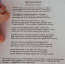 SOS! Valaki megválaszolná a kérdéseket?!  – feladat kép 1