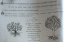 SOS természet – feladat kép 1
