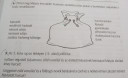 Segítséget kérnék a megoldásban – feladat kép 2