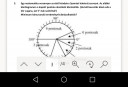 Kördiagramm – feladat kép 1