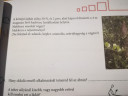 Fizika SOS 1 – feladat kép 1