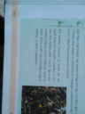 Valaki tud segíteni? A képek lent. :) – feladat kép 3