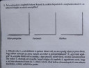 Ábel – feladat kép 1