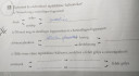 Valaki tudna segíteni? Biológia tápláléklánc. 7.osztály – feladat kép 1