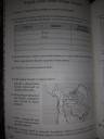 Szeretnék segítséget kerni – feladat kép 1