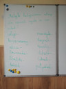 Sos magyar nyelv – feladat kép 1